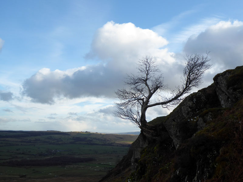 Rowan on Crag